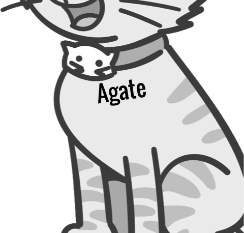 Agate pet