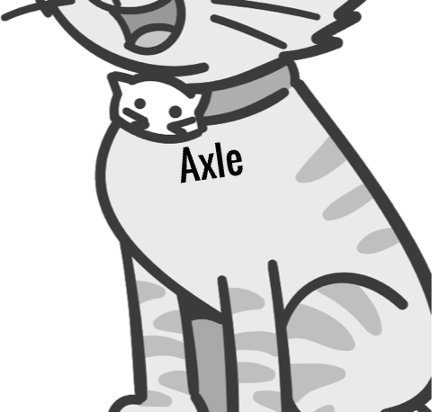 Axle pet