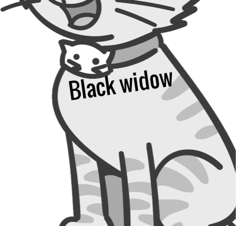 Black widow pet