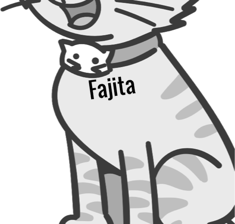 Fajita pet