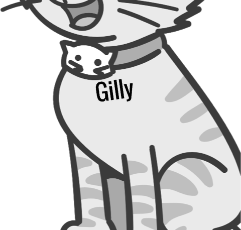 Gilly pet