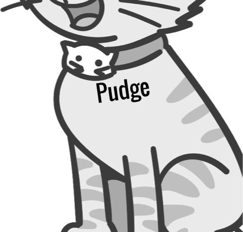 Pudge pet