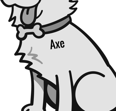 Axe pet