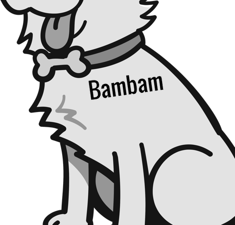 Bambam pet