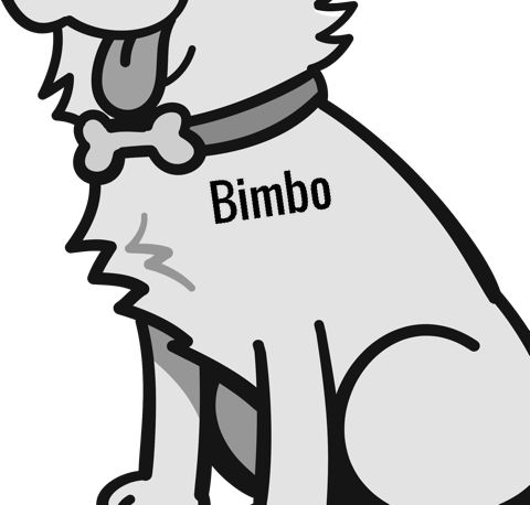 Bimbo pet