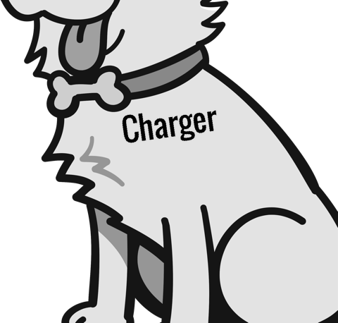 Charger pet