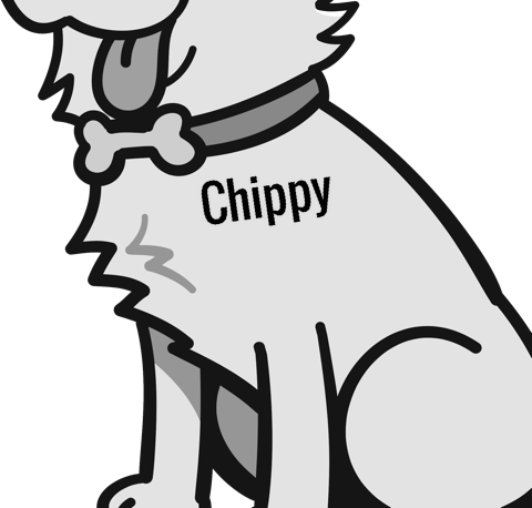 Chippy pet