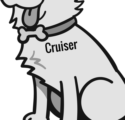 Cruiser pet