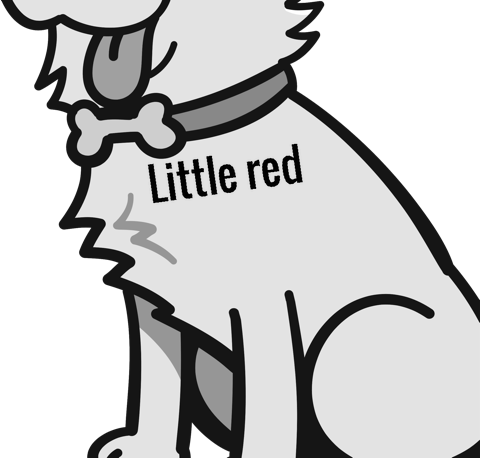 Little red pet