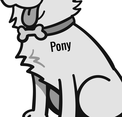 Pony pet