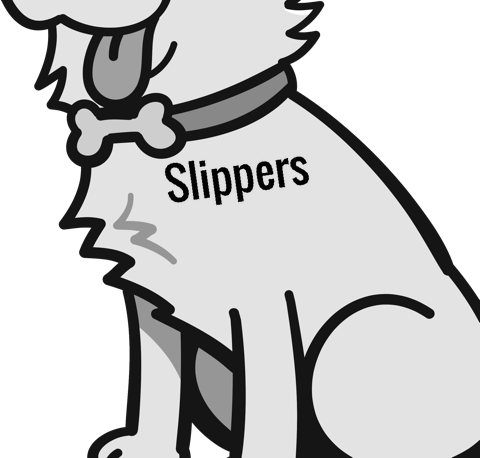 Slippers pet