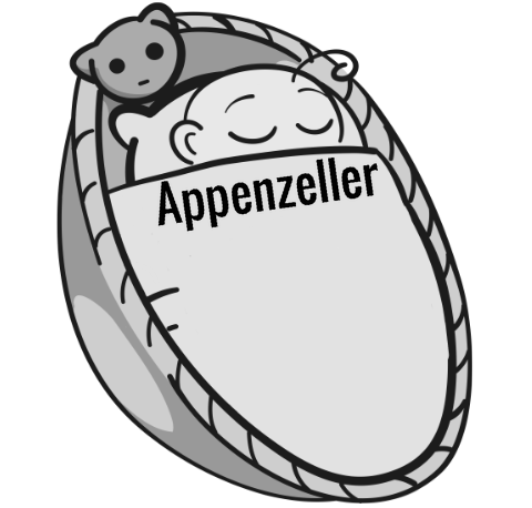 Appenzeller sleeping baby