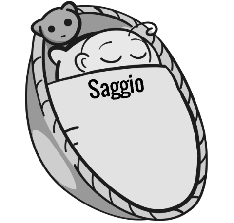 Saggio sleeping baby