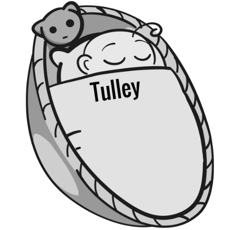 Tulley sleeping baby